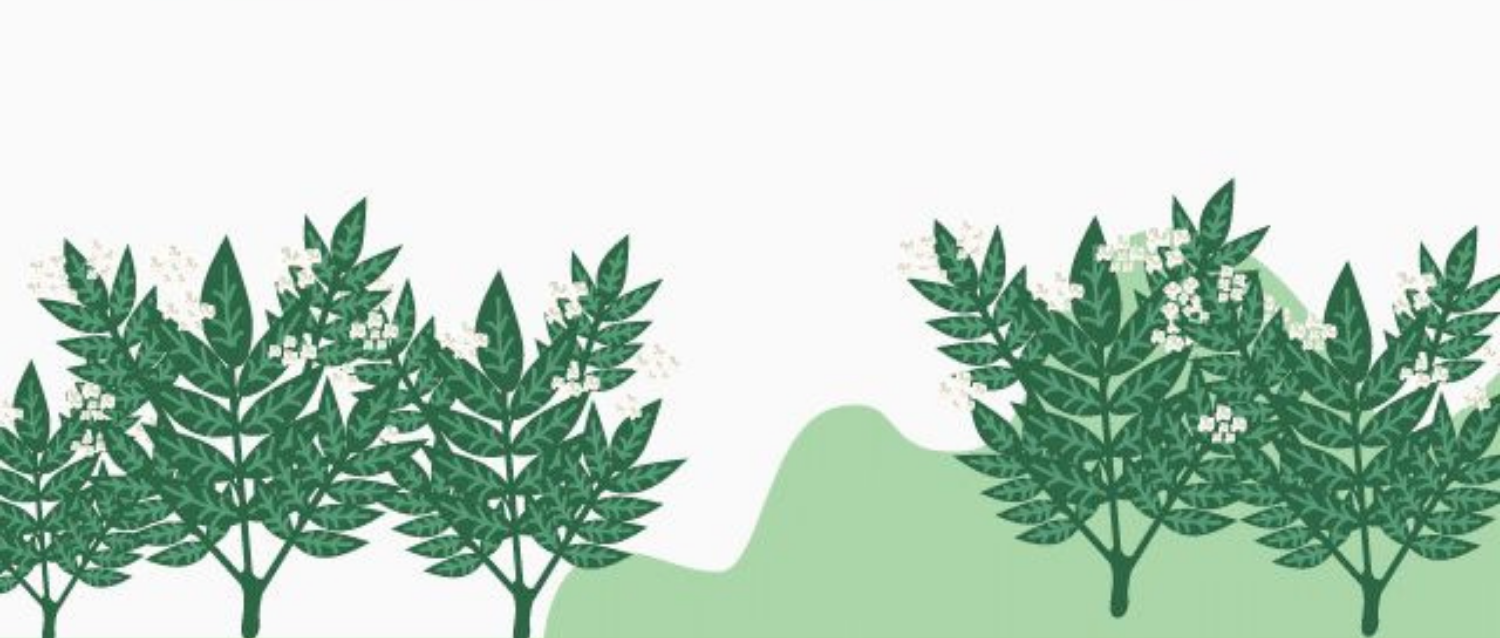 聊一聊，农化分散剂的前世今生