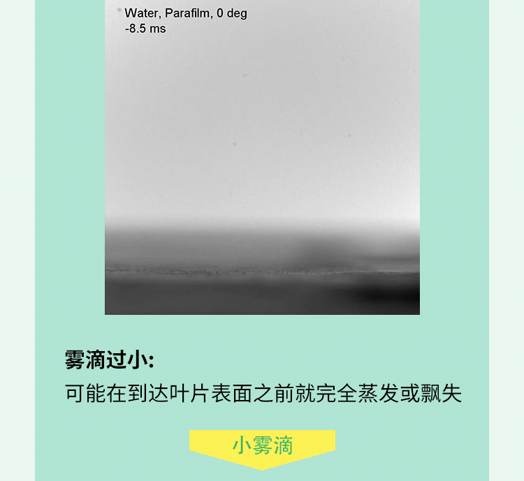 禾大作物线上研讨会