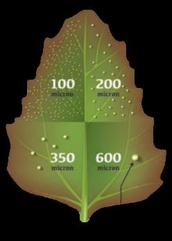 禾大作物线上研讨会