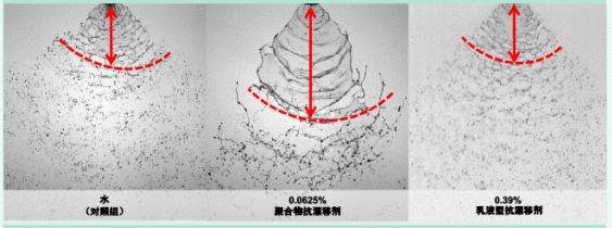 禾大作物线上研讨会