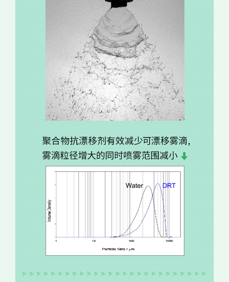禾大作物线上研讨会