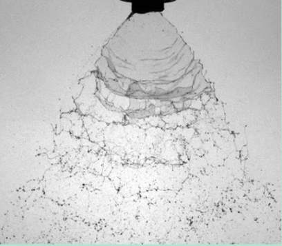 禾大作物线上研讨会