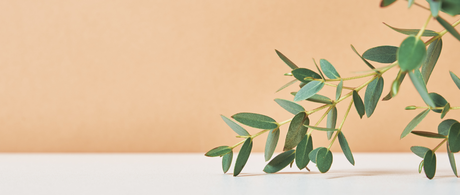 拆解禾大“五阶”增效方案之喷雾请留步（二）