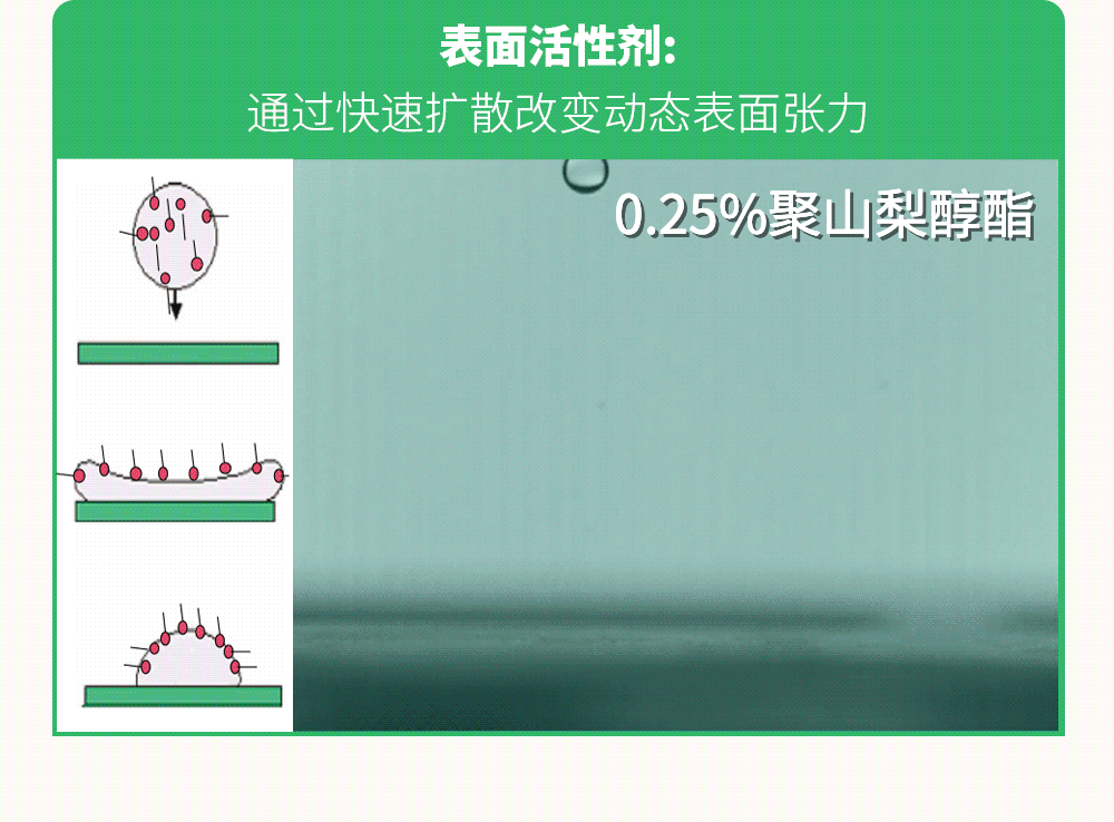 拆解禾大“五阶”增效方案之喷雾请留步（二）