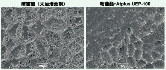 小分子的增效剂