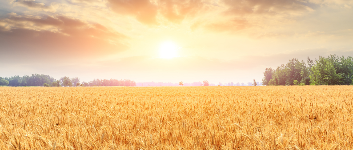 Oil suspension agent cover