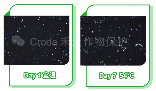 第八届农药制剂加工技术研讨会