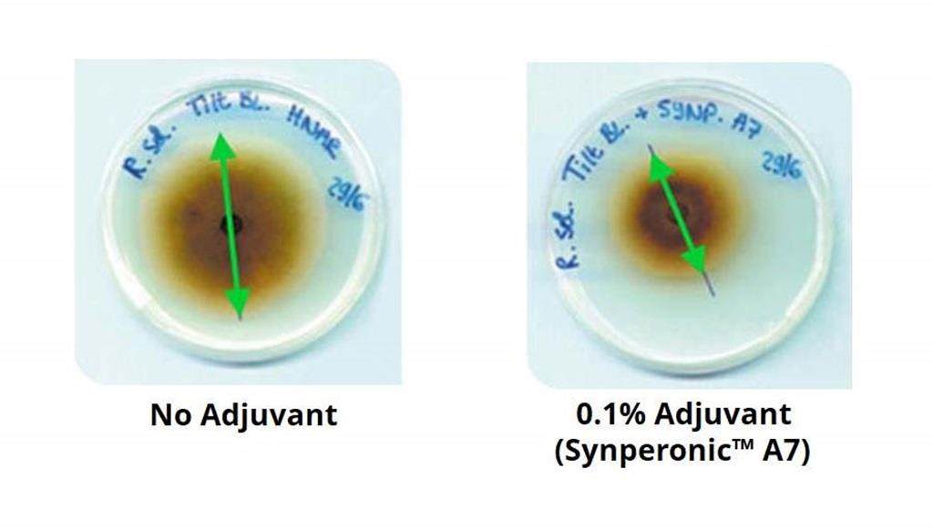 Synperonic A7 fungicide