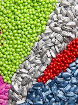 seed-treatment