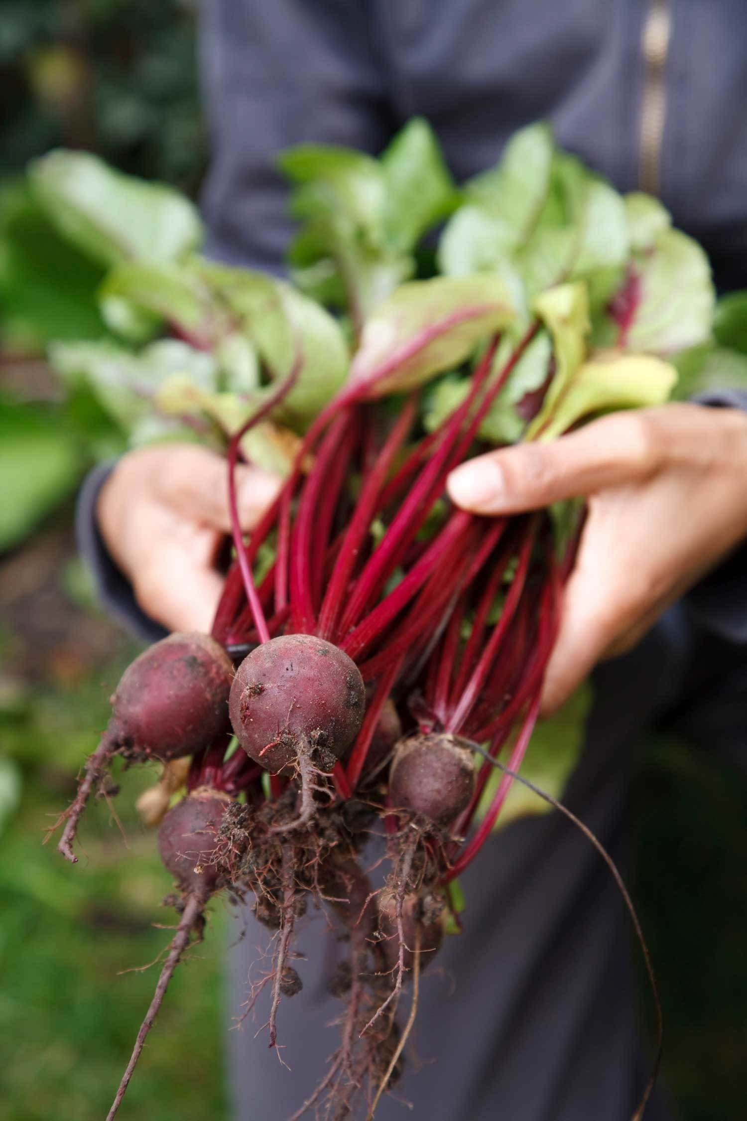 biopesticide