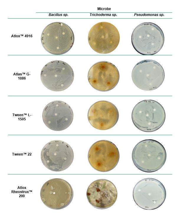 Microbes for formulation if microbial biopesticides